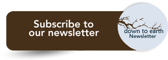 Subscribe to our newsletter