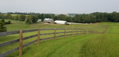 Horse Farm - S Springdale Rd