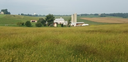 Myers Farm - Old New Windsor Rd 2